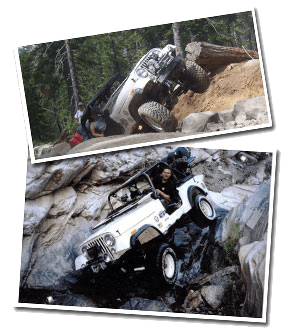 Jeep Enthusiasts | Jack Dane Auto Service